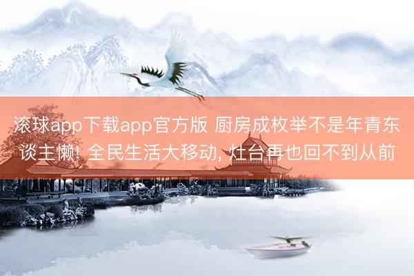 滚球app下载app官方版 厨房成枚举不是年青东谈主懒! 全民生活大移动, 灶台再也回不到从前